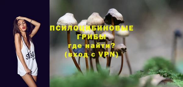 apvp Богородск