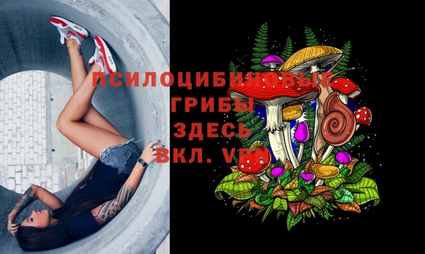 apvp Богородск